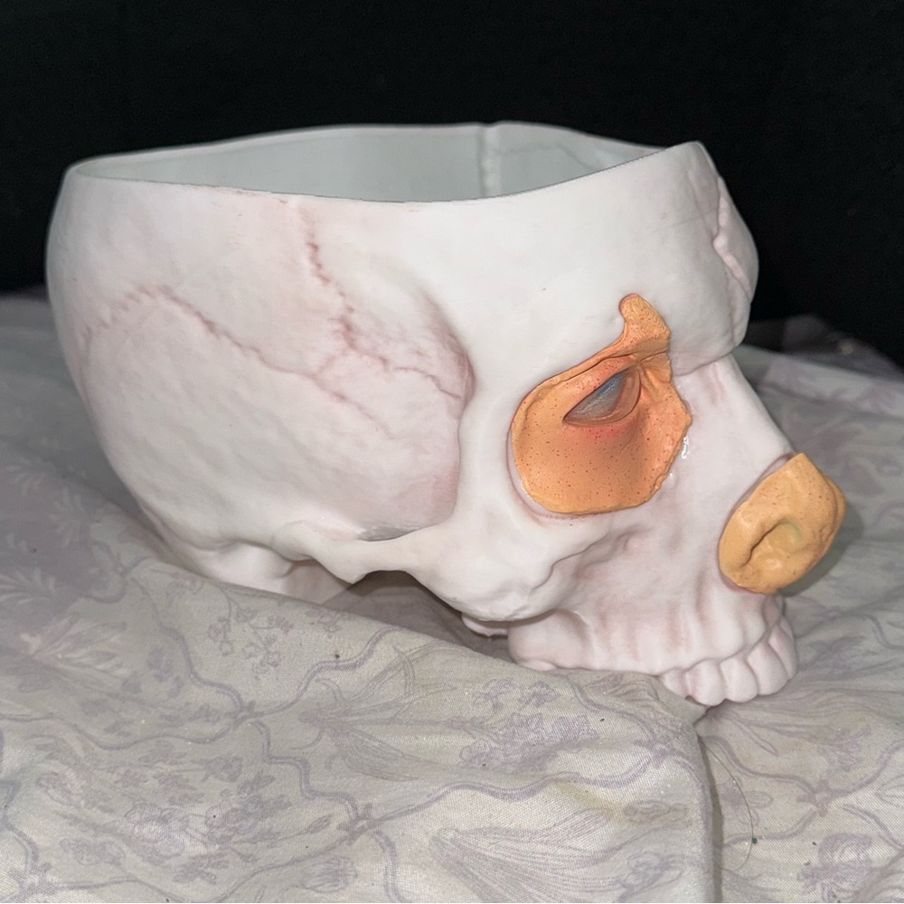 Frankenstein Guillermo Del Toro popcorn bucket by Netflix - Picture 4 of 6
